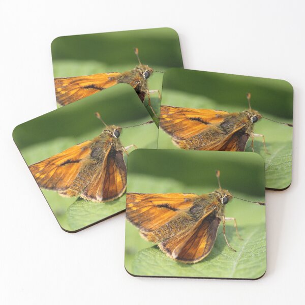 Item preview, Large Skipper designed and sold by cuprum.