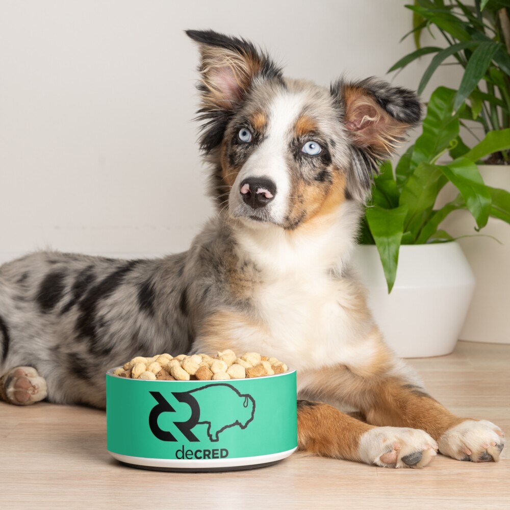 Item preview, Pet Bowl designed and sold by OfficialCryptos.