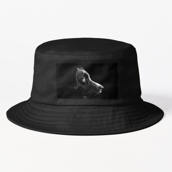 "Black Dog" Bucket Hat for Sale by Ellabrand Redbubble