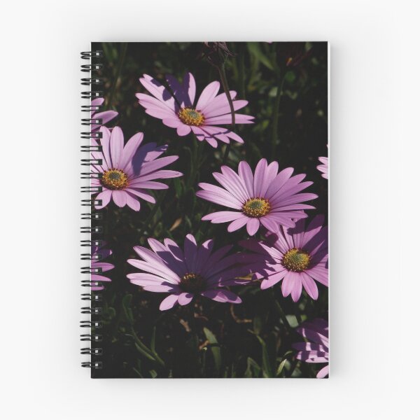 Item preview, Osteospermum designed and sold by AnnDixon.