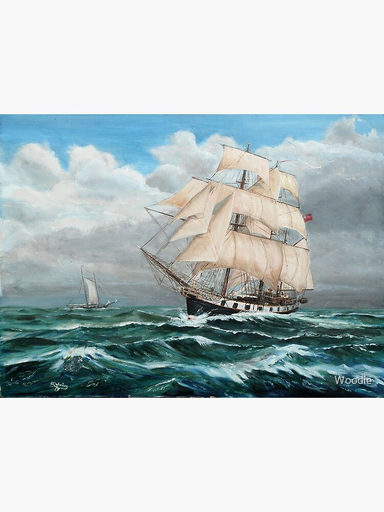 HMS Beagle, Darwin's Ship 1831/6 by Woodie