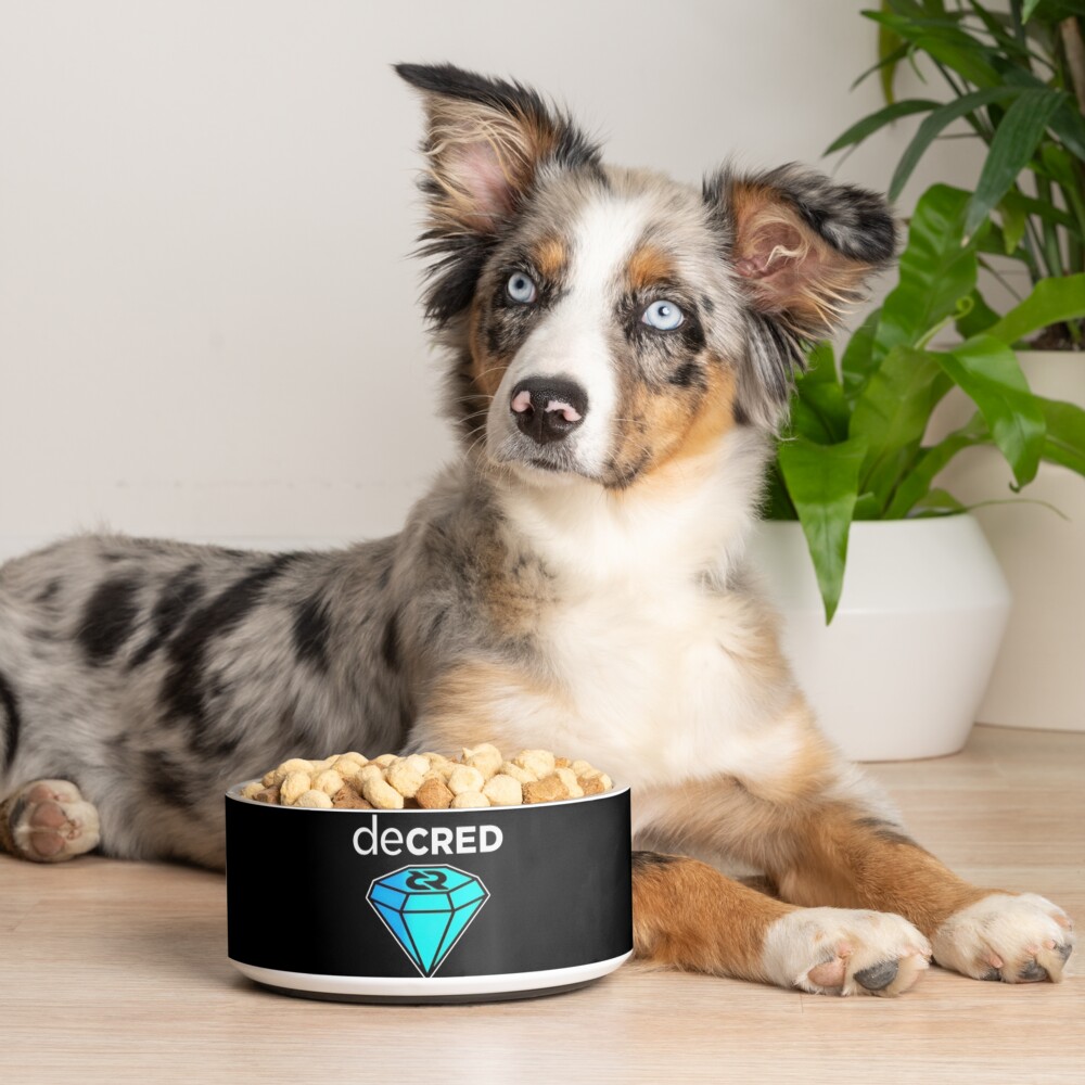 Item preview, Pet Bowl designed and sold by OfficialCryptos.