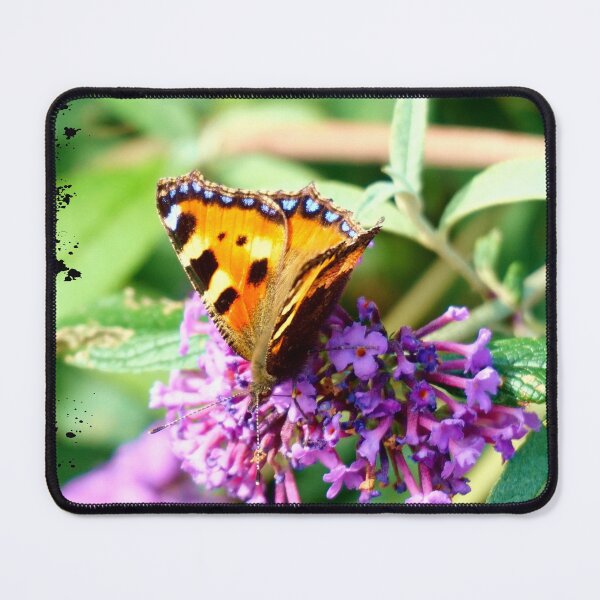 Item preview, Butterfly & Buddleia designed and sold by Nicole Gath.