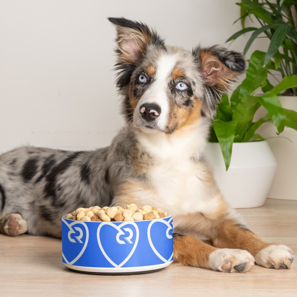 Item preview, Pet Bowl designed and sold by OfficialCryptos.