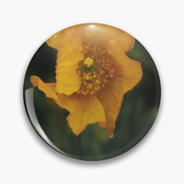 Item preview, yellow flower designed and sold by Francespoppy.