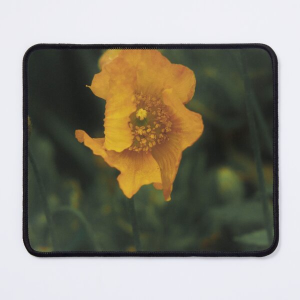 Item preview, yellow flower designed and sold by Francespoppy.