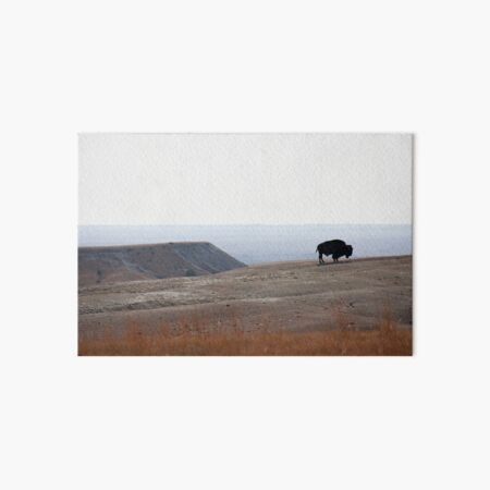 Bison Alone Art Board Print