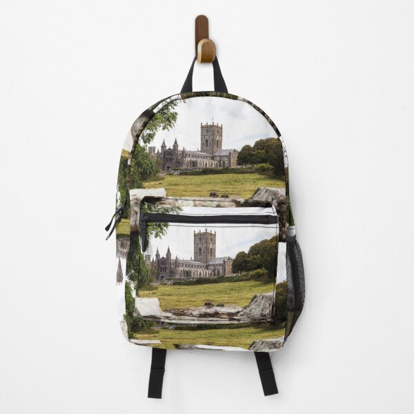 Item preview, St Davids Cathedral, Pembrokeshire, Wales, UK designed and sold by Paul Thompson Photography.
