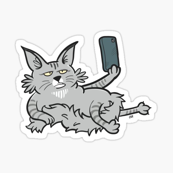 Cat Maine Coon Relax Selfie Pegatina