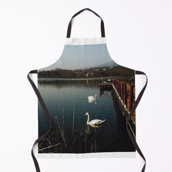 Item preview, Lake with swan and bridge landscape photography designed and sold by marghe41.
