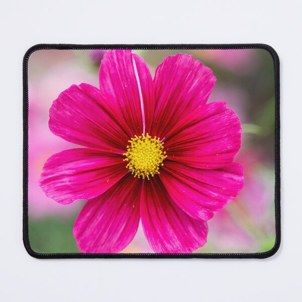 Item preview, Cosmos Sonata Carmine designed and sold by Tanya C Smith.