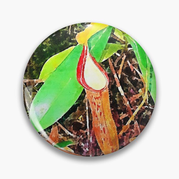 Item preview, Nepenthes sanguineum Watercolor designed and sold by Floral-Art.