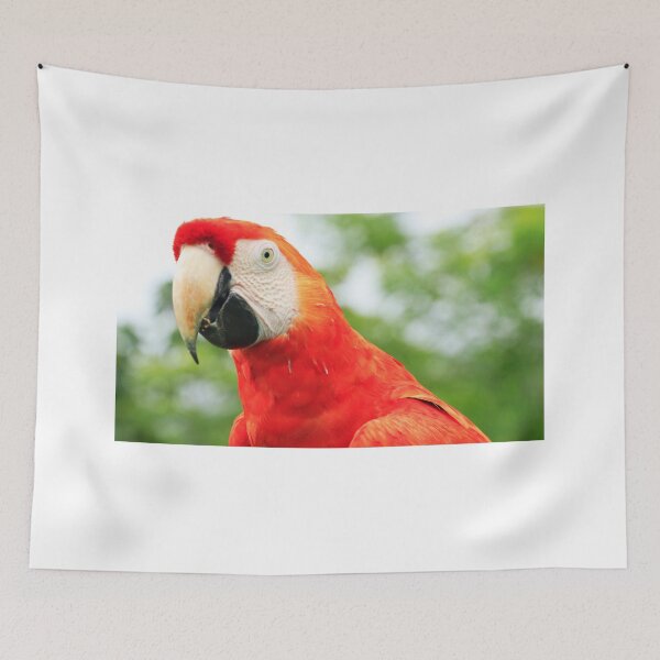 Item preview, Macaw bird photographed in the jungle in Panama, Central America designed and sold by unatrotamundos.