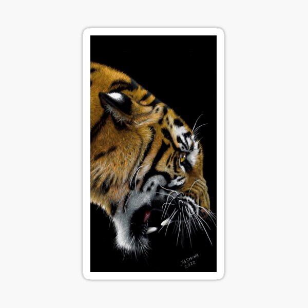 Angry Tiger - Colored Pencil Drawing Sticker