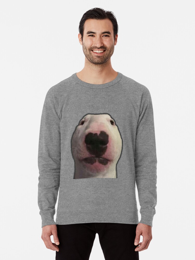 Walter meme dog hat shirt, hoodie, sweater, long sleeve and tank top