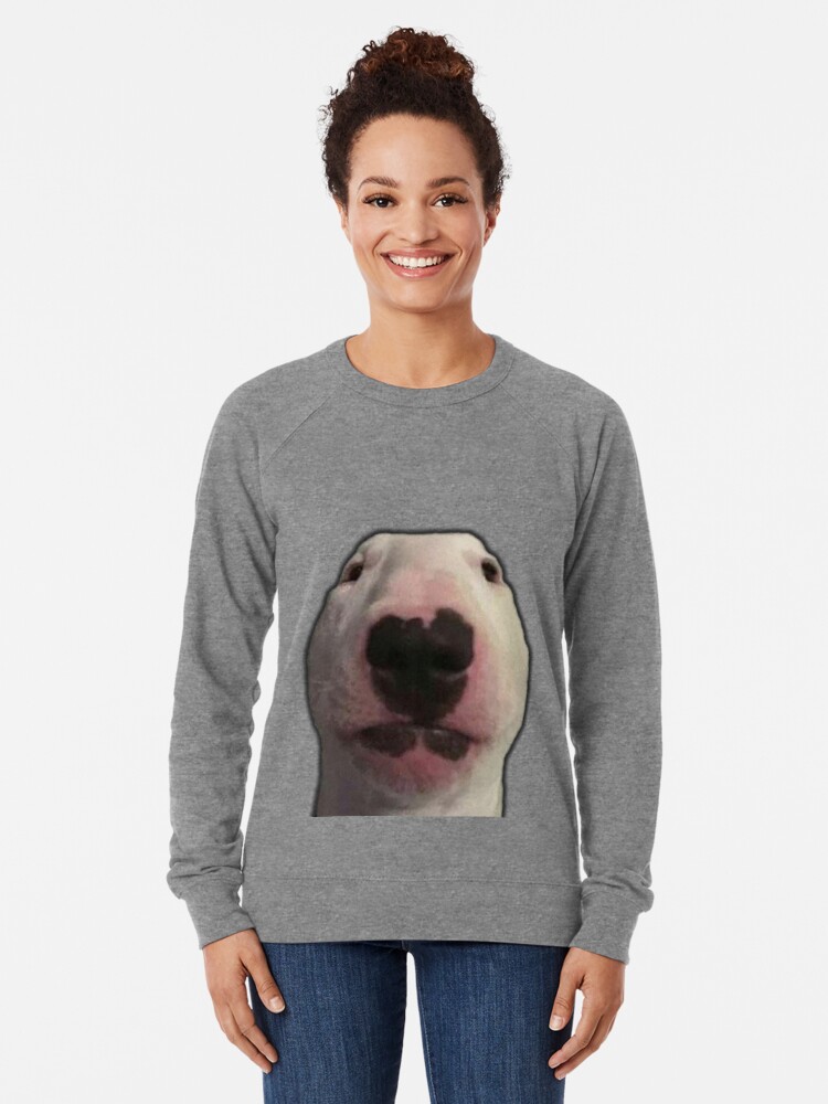 Walter meme dog hat shirt, hoodie, sweater, long sleeve and tank top