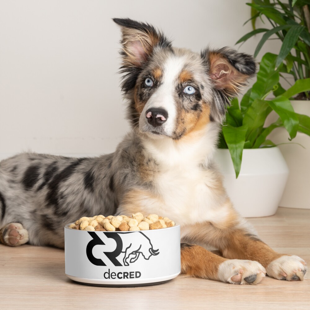 Item preview, Pet Bowl designed and sold by OfficialCryptos.