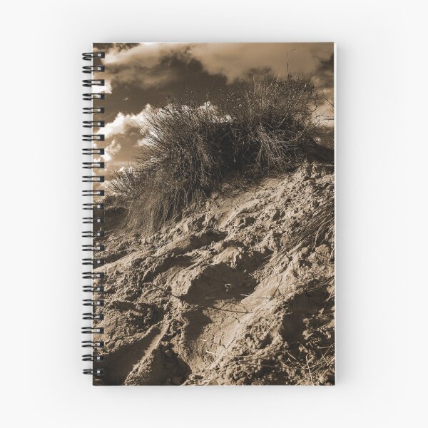 Item preview, dune with sawgrass at Koksijde in sepia designed and sold by FotoMahieu.
