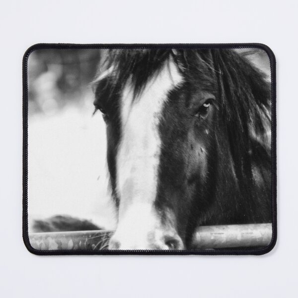 Item preview, horse black and white designed and sold by Francespoppy.