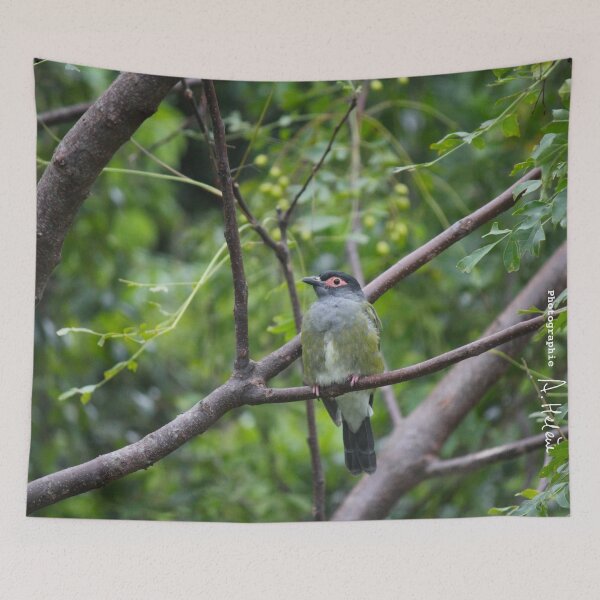 Item preview, Figbird designed and sold by AHELENE.