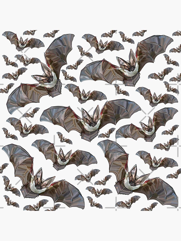 BattyBat Vinyl