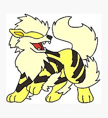 Shiny Arcanine Photographic Print