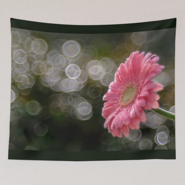 Item preview, Pink gerbera designed and sold by DuccioNacci.