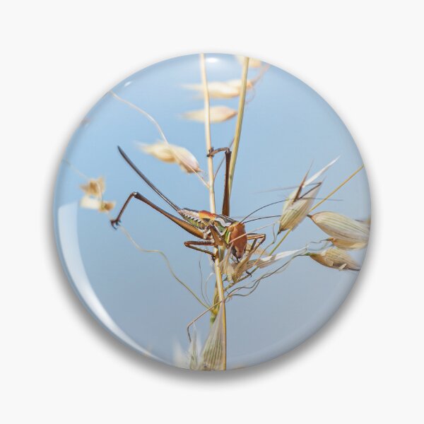 Item preview, Marauding Katydid designed and sold by ArtisanPrintsOz.