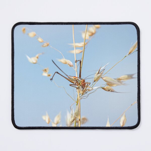 Item preview, Marauding Katydid designed and sold by ArtisanPrintsOz.