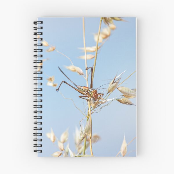 Item preview, Marauding Katydid designed and sold by ArtisanPrintsOz.