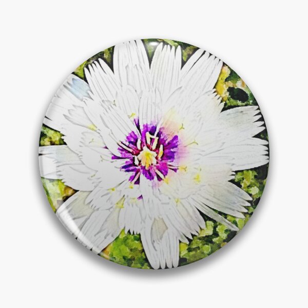 Item preview, Catananche caerulea var alba designed and sold by Floral-Art.