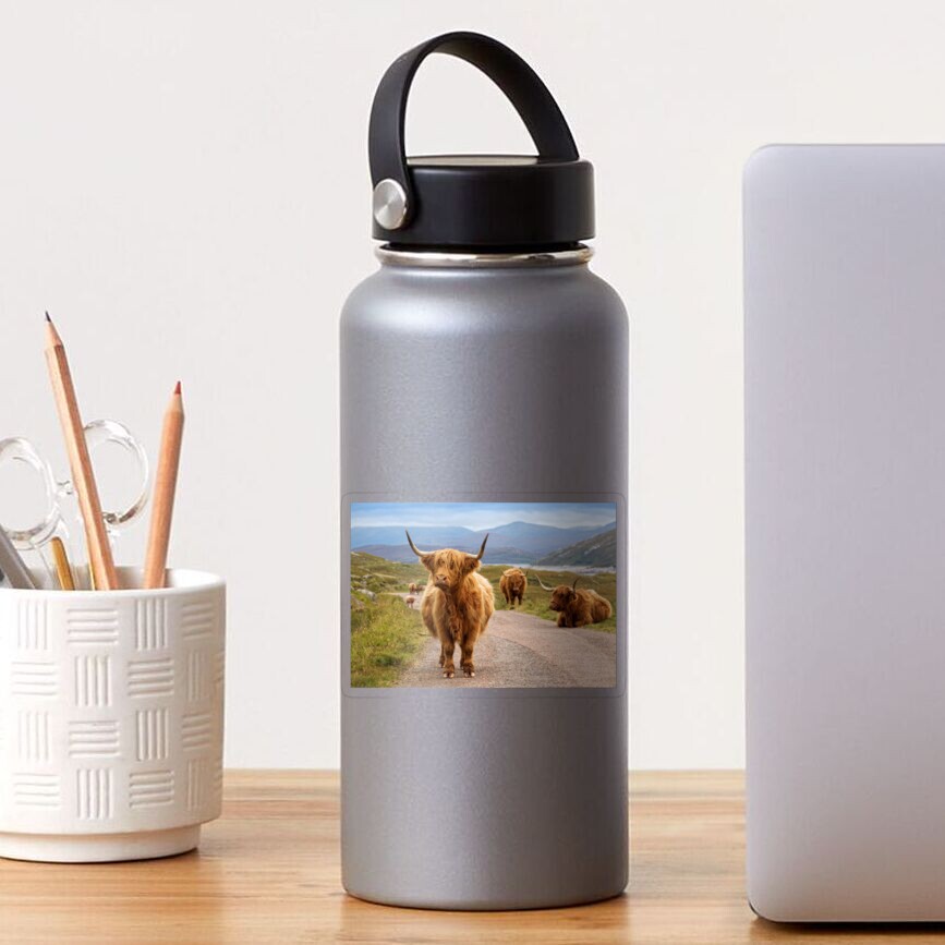 Vista previa del artículo con la obra «Pegatina transparente», diseñado y vendido por PhotosEcosse.