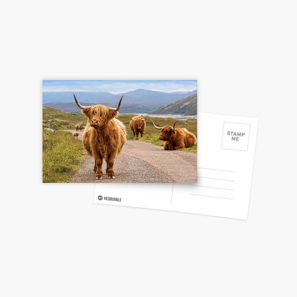 Vista previa del artículo con la obra «Postal», diseñado y vendido por PhotosEcosse.
