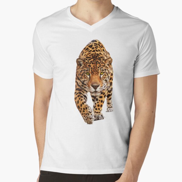 jaguar shirts near me