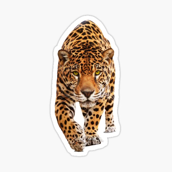 Item preview, Jaguar designed and sold by edleon.