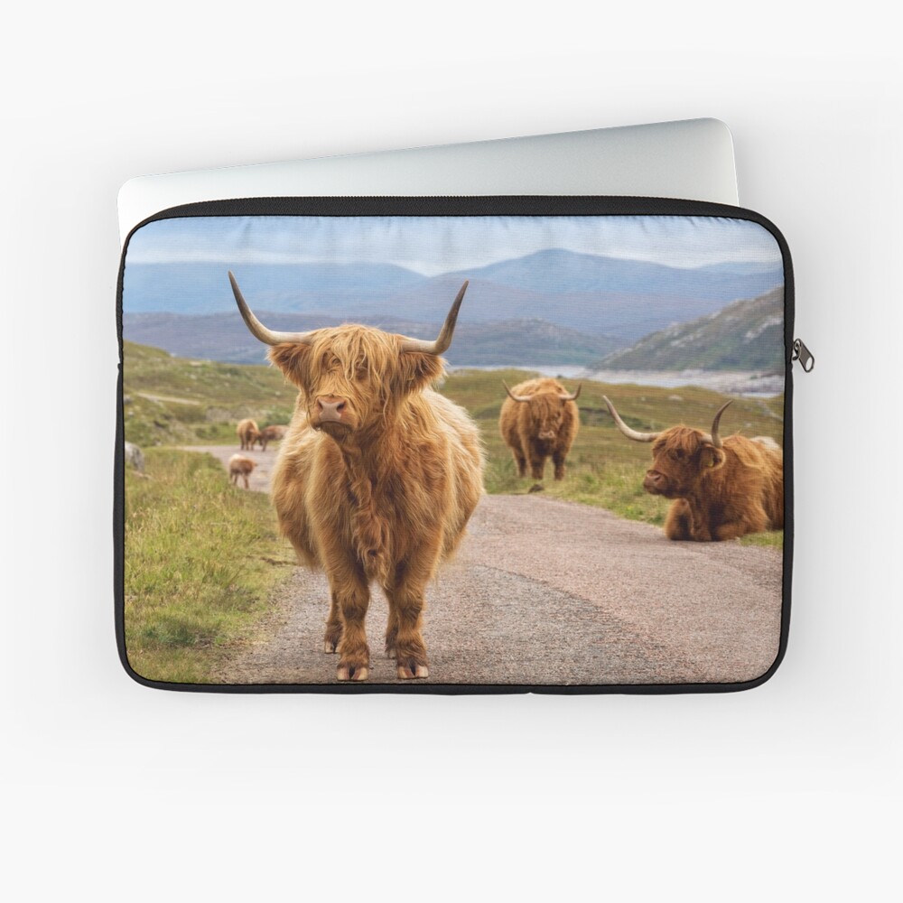 Vista previa del artículo con la obra «Funda para portátil», diseñado y vendido por PhotosEcosse.