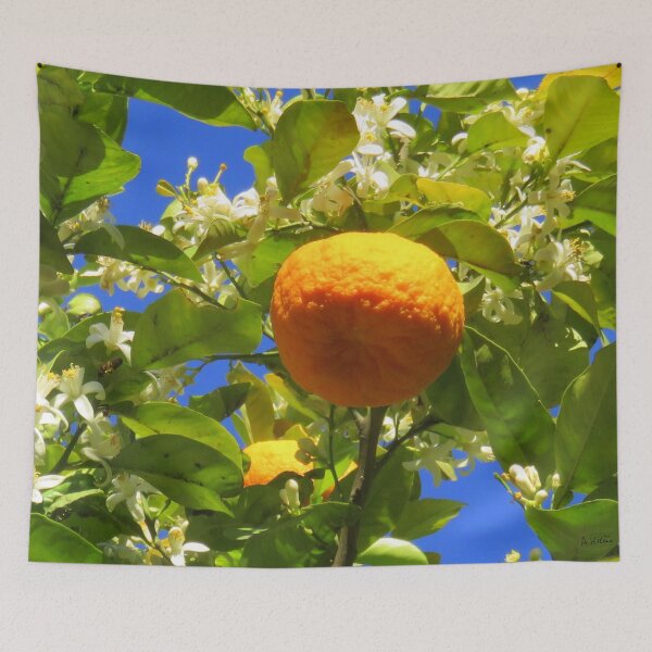 Item preview, orange dans son oranger designed and sold by AHELENE.