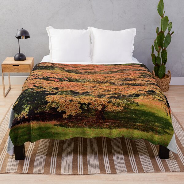 Item preview, Autumn Acer Tree Westonbirt Arboretum Cotswolds designed and sold by AndyEvansPhotos.