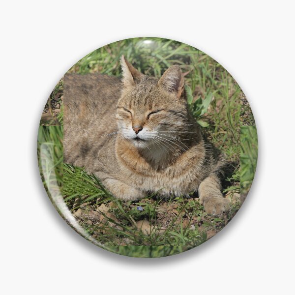 Item preview,  r523 / Finition 2022, le Chat "ah to the Sun, a universal value for his well-being - ah au Soleil, une valeur universel pour son bien être "  de Rouillé -  Okaio Créations - Olavia-Olao designed and sold by o.okaïo.