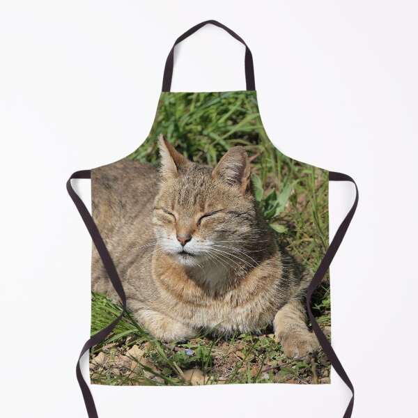 Item preview, r523 / Finition 2022, le Chat "ah to the Sun, a universal value for his well-being - ah au Soleil, une valeur universel pour son bien être " de Rouillé - Okaio Créations - Olavia-Olao designed and sold by o.okaïo.