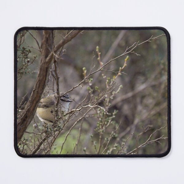 Item preview, Yellow-rumped Thornbill designed and sold by ArtisanPrintsOz.