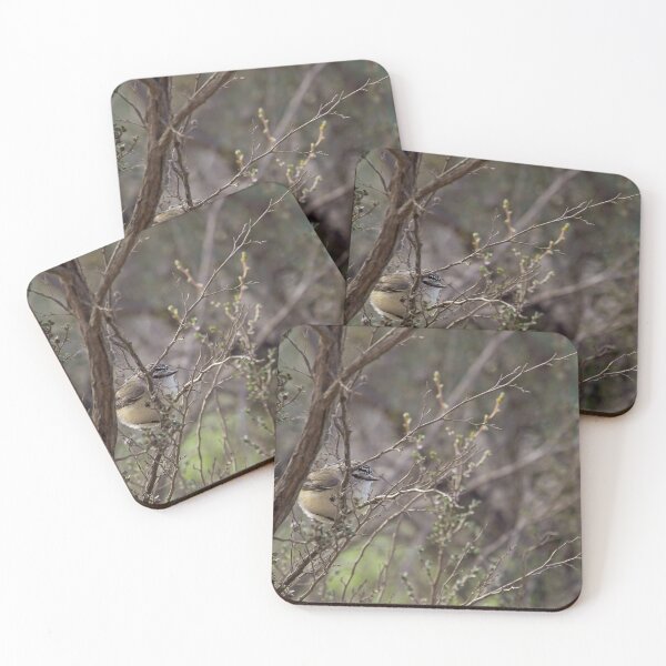 Item preview, Yellow-rumped Thornbill designed and sold by ArtisanPrintsOz.