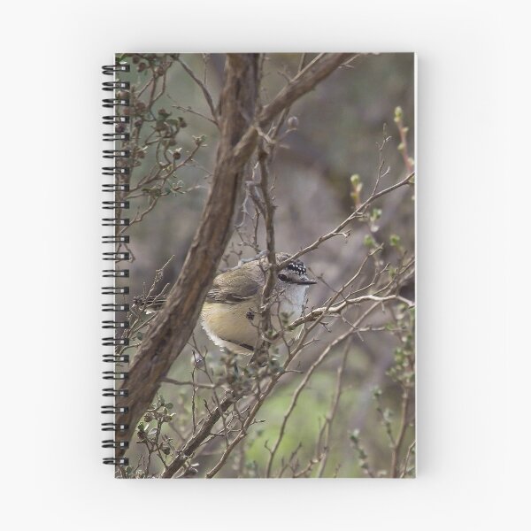 Item preview, Yellow-rumped Thornbill designed and sold by ArtisanPrintsOz.