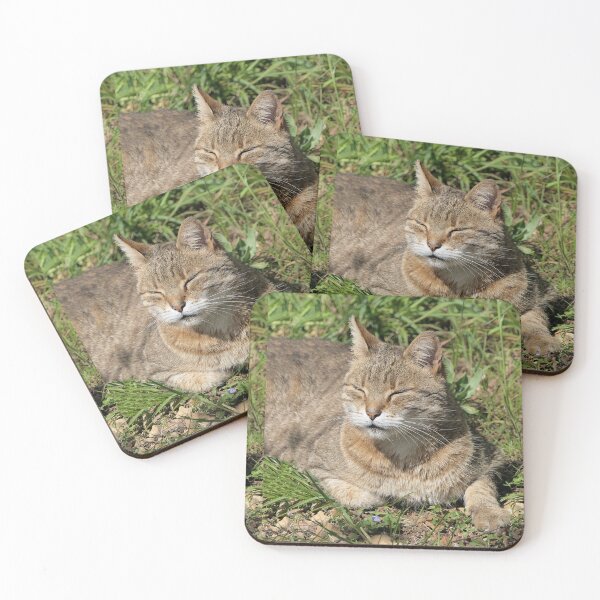 Item preview,  r523 / Finition 2022, le Chat "ah to the Sun, a universal value for his well-being - ah au Soleil, une valeur universel pour son bien être "  de Rouillé -  Okaio Créations - Olavia-Olao designed and sold by o.okaïo.