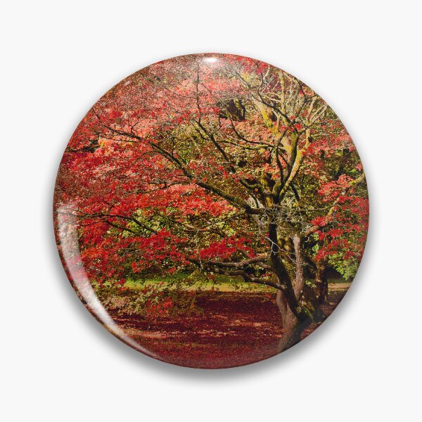 Item preview, Autumn Acer Tree Westonbirt Arboretum Cotswolds designed and sold by AndyEvansPhotos.
