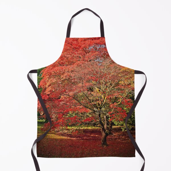 Aperçu de l'œuvre Automne Acer Tree Westonbirt Arboretum Cotswolds créée et vendue par AndyEvansPhotos.