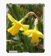 Sunshine - Yellow Daffodil iPad Case/Skin