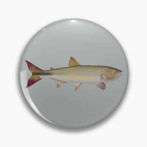Item preview, Dorado designed and sold by fishfolkart.