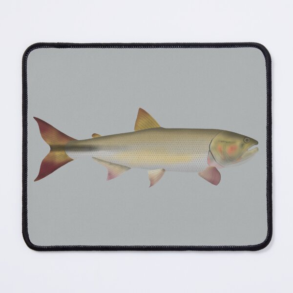 Item preview, Dorado designed and sold by fishfolkart.