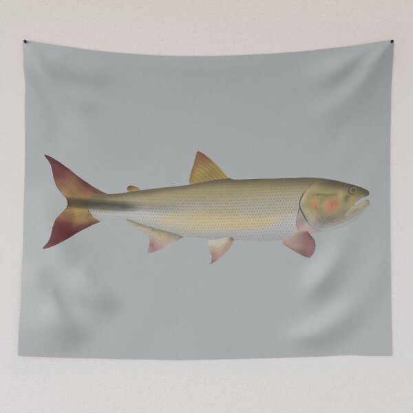 Item preview, Dorado designed and sold by fishfolkart.